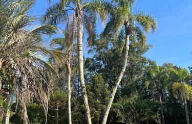 Chácara das Flores - Foto 14