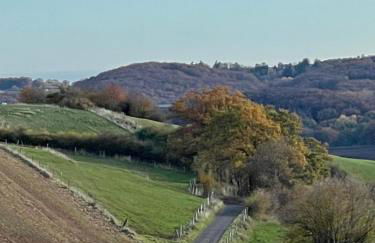 Ferienhaus Vogelsberg - Photo 20