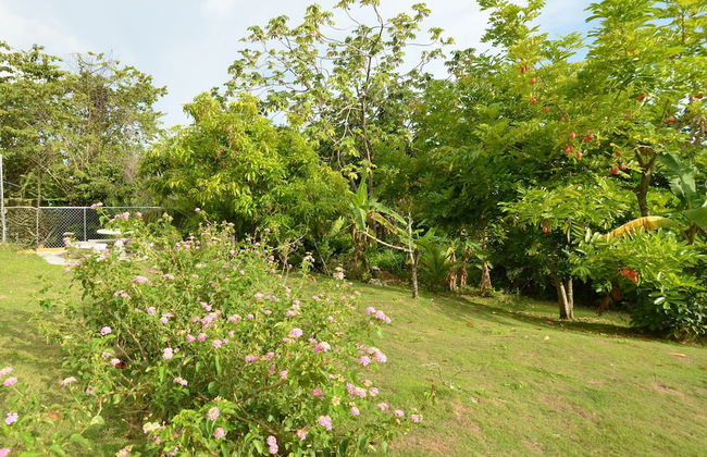 Cozy Locale Inn - Foto 13