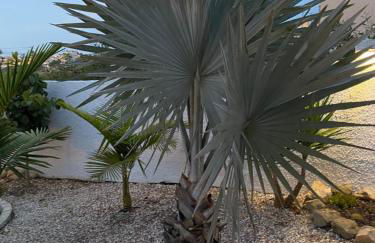 Casa di Paddy - Photo 18