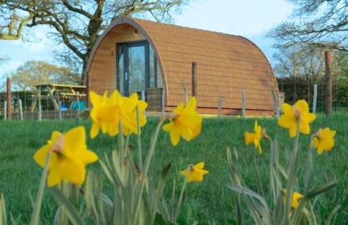 Rainbow View - Foto 9