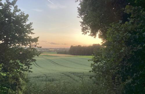 Münster-Land am Südhang der Baumberge - Foto 20