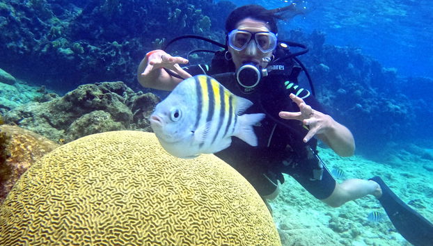 Mergulho na baía dos Porcos