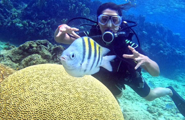 Buceo en la bahía de Cochinos - Foto 5