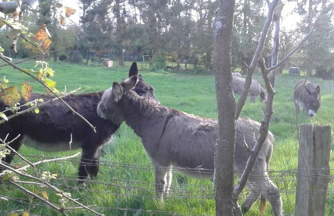 Trois Etots - Foto 29