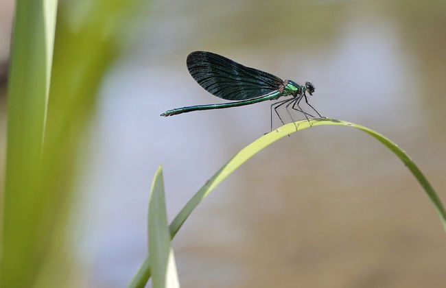 Unusual Hideaway in Lorraine - Photo 16