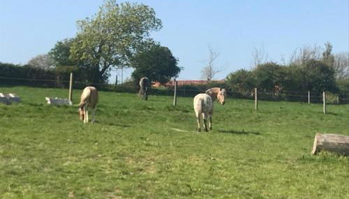Les Cabanes de Warincthun - Foto 2