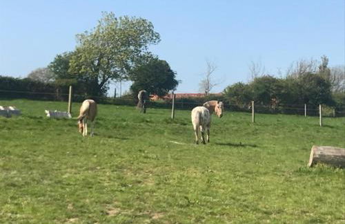 Les Cabanes de Warincthun - Foto 2