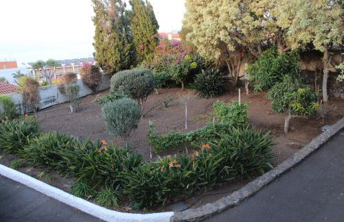 Villa San Cristóbal de Acentejo - Foto 46