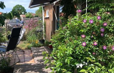 Studio bois avec terrasse et jardin bassin et océan - Foto 10