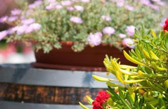 Residence Le Vigne - Foto 10