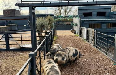 Willow Court Farm Studio East & Petting Farm, 8 mins to Legoland & Windsor, 15 mins to Lapland UK - Foto 24