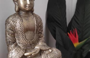 Villa Spa Béziers 4 étoiles ressourcez-vous avec style - Photo 13