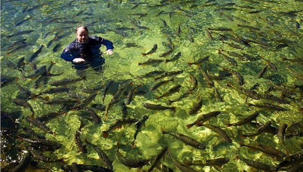 Entrada al balneario municipal de Bonito - Foto 5, Disfrutando de un chapuzón