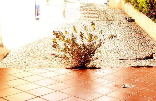 AMPIO APPARTAMENTO MARE CA Domus Collection - Foto 8