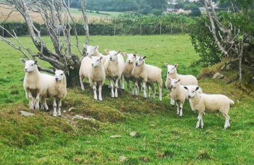 Braffin @ Fellside Farm, Pennington, Ulverston - Foto 18