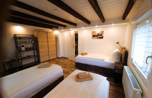 CJS Apartments - Chill or Drive am Nürburgring, new Box Spring Beds, new furniture, WLan, Spacious Rooms, Quiet Location - Foto 45