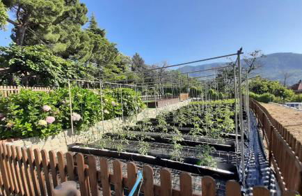 Ca' De Angiolina - Foto 42