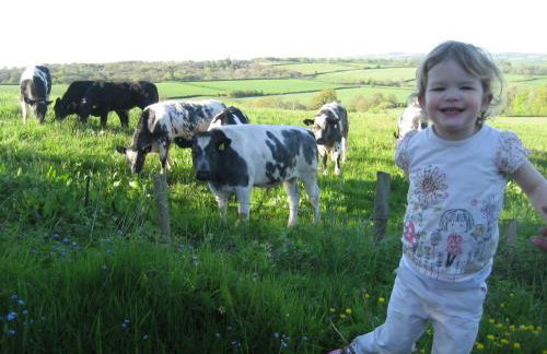 The Smithy nr Huntsham - Foto 20