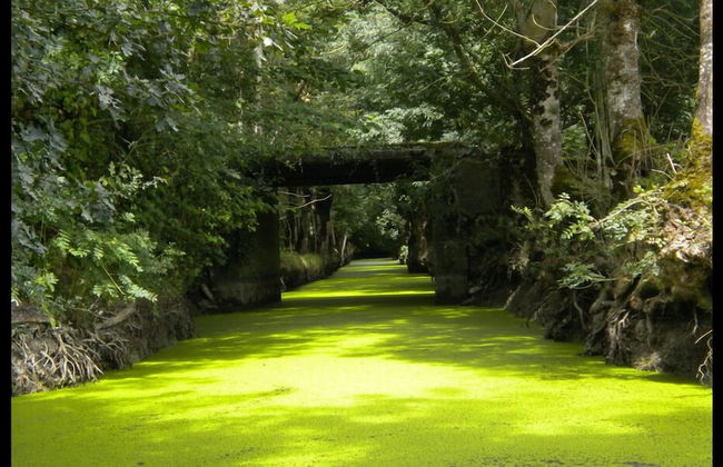 Les chalets de la héronnière - Foto 17