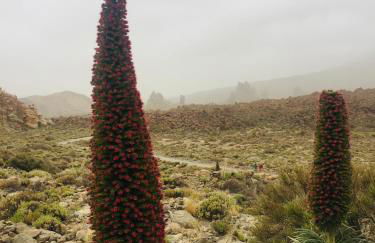 Casa Antonio - apartamento Sol - Foto 34