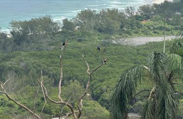 Casa do Roberto Burle Marx - Foto 2