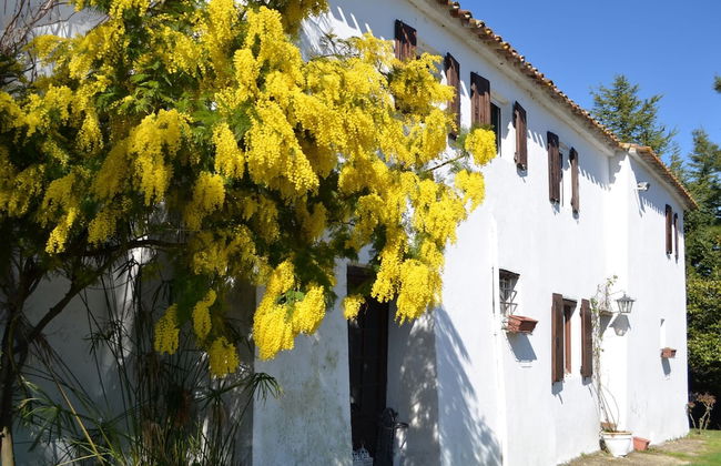 Cottage in Montefiore Near Forest and Beach - Photo 30