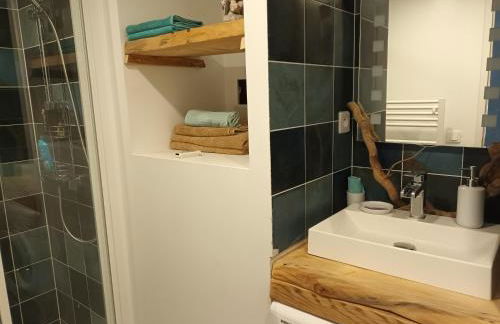 La Salamandre,Charmant T2 Calme et nature à Puget-Ville - Foto 8