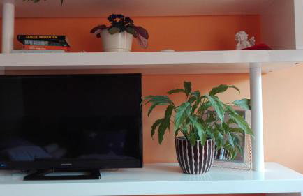Split Luxury Apartments Rodin - Photo 36