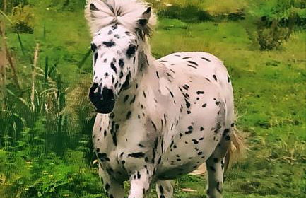 Gîtes By Medoc - Foto 9