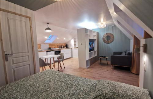 Les appartements du centre, refaits à neuf, climatisés, hyper centre, 50m à pieds des commerces, restaurants, parking gratuit - Foto 20