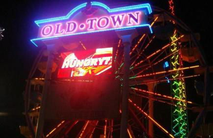 Spacious Regal Oaks Townhome by Disney - Foto 64