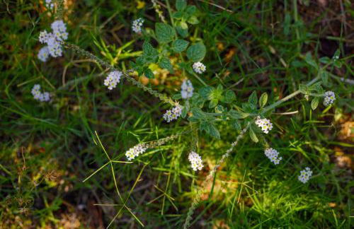 Alethea's Sea View Apartment - Foto 75