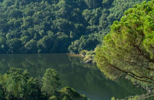 Casa Douro River - Foto 27