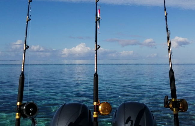 Blue West Villas - Photo 34