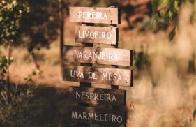 The Blue House Valley - Foto 50