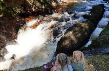 The Burnside Apartment - Foto 15