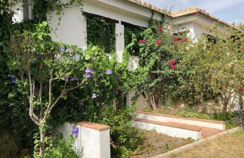 Alpujarra garden oasis - Foto 12