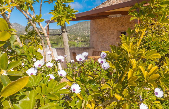 Finca Ses Cases Noves - Foto 59