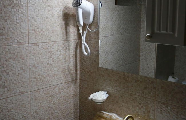 Pensiunea Elemar - Foto 16