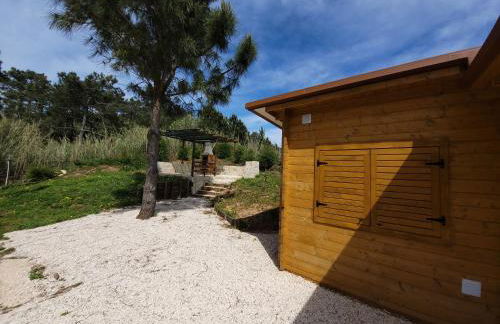 Quinta dos Mangues - Foto 38