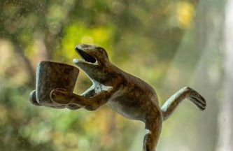 Tiny Home Lookout Mountain - Near Downtown & Falls - Foto 9