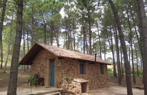 El Rincón de María. - Foto 1