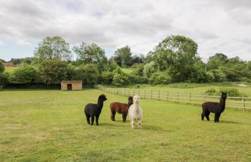 The Tunnel at Bridge Lake Farm and Fishery - Foto 42