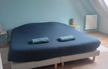 La petite chouette - Photo 21