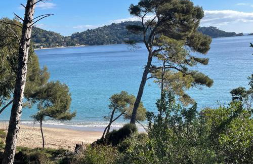 Location appartement au lavandou - Foto 15