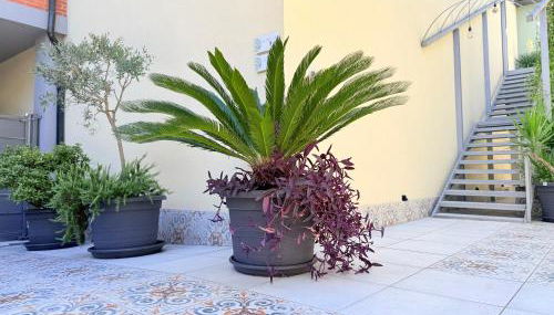 Il Giardino degli Ulivi PT - Photo 3