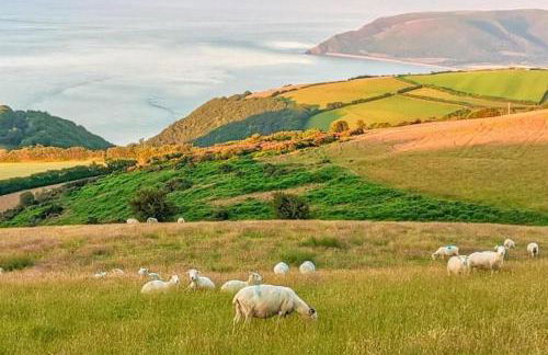 2 Bed in West Quantoxhead oc-p30893 - Photo 17