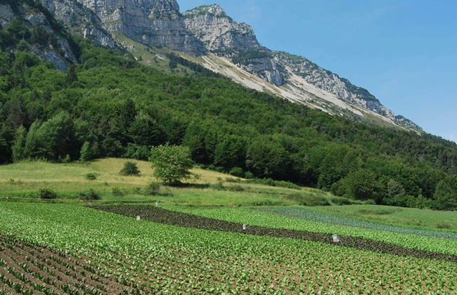 Agritur Piazera 2 - Foto 13