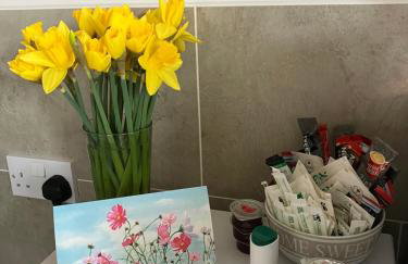 Swansea Bay, Marina, Swansea Arena, Beach & City - Foto 36